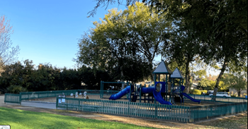 a blue playground in a park with trees